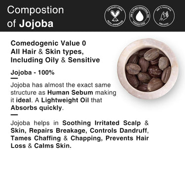 https://cdn.shopify.com/s/files/1/1857/6931/files/XtV0AF92Az.jpg?v=1723459983